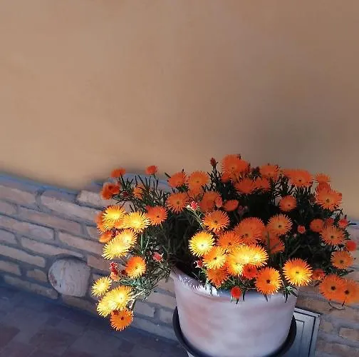 Tatil Evi L' Acero Rosso